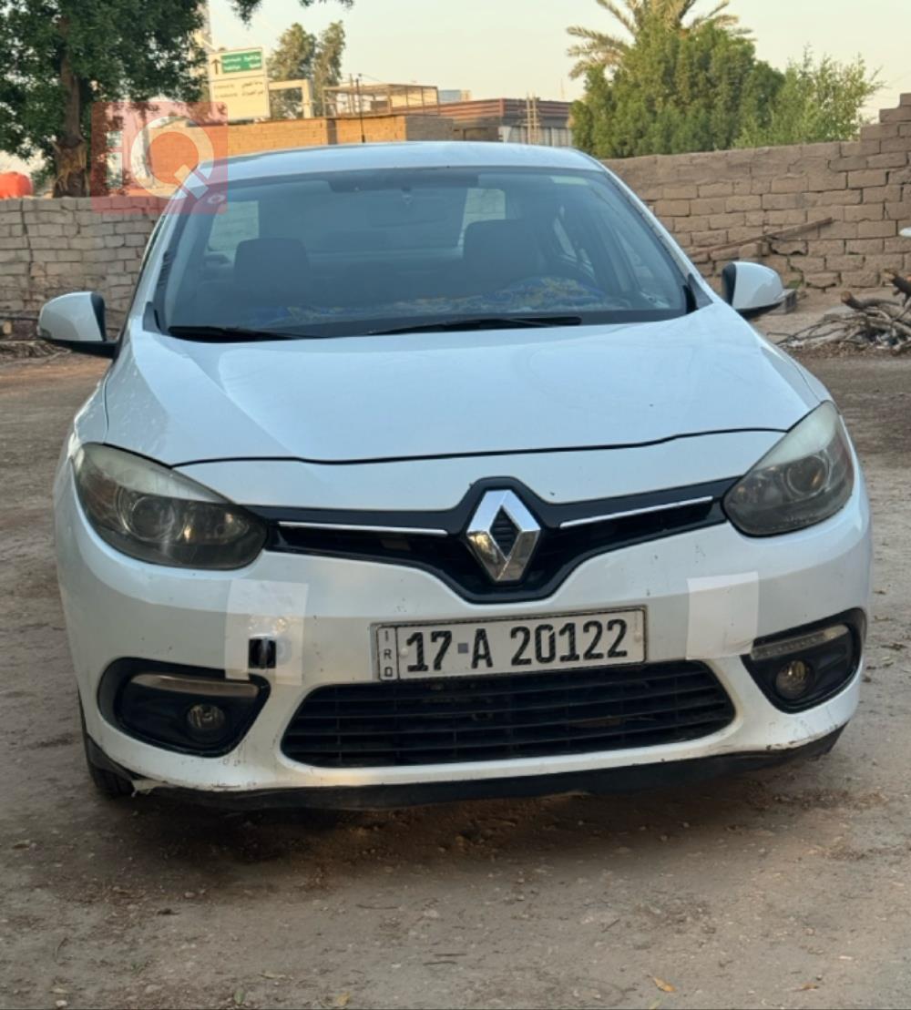 رينو فلوينس